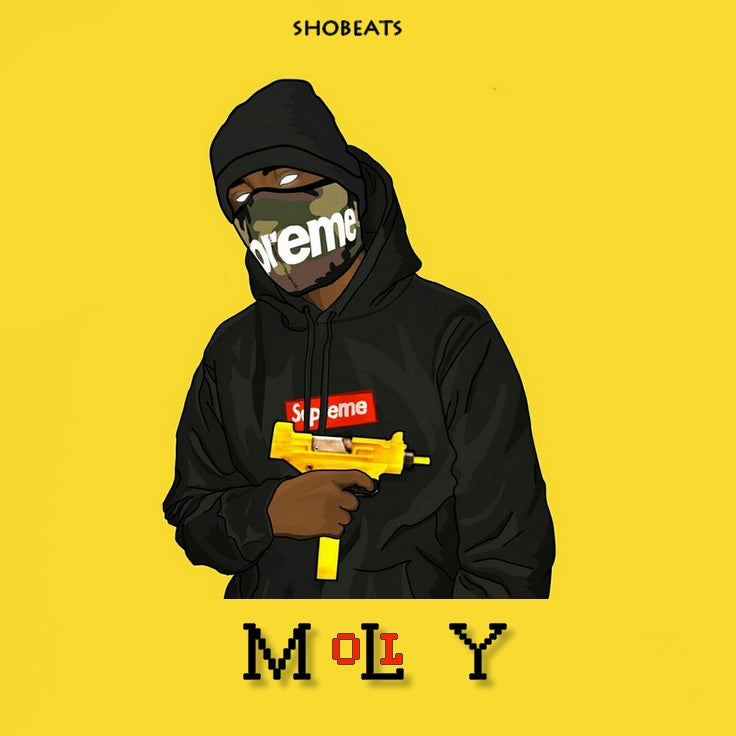 MOLLY - Sonic Sound Supply - drum kits, construction kits, vst, loops and samples, free producer kits, producer sounds, make beats