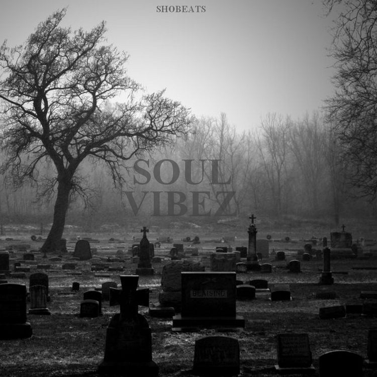 SOUL VIBEZ - Sonic Sound Supply - drum kits, construction kits, vst, loops and samples, free producer kits, producer sounds, make beats