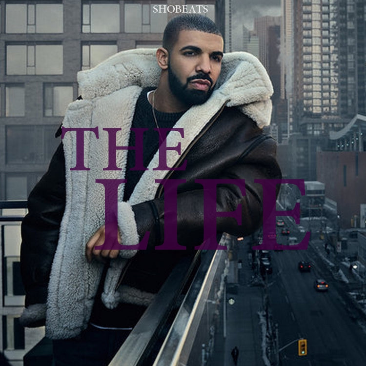 THE LIFE - Sonic Sound Supply - drum kits, construction kits, vst, loops and samples, free producer kits, producer sounds, make beats