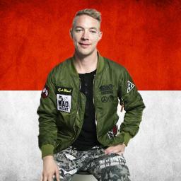DIPLO