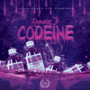 Drowning In Codeine - Sonic Sound Supply - drum kits, construction kits, vst, loops and samples, free producer kits, producer sounds, make beats