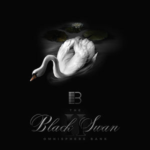 Black Swan ll