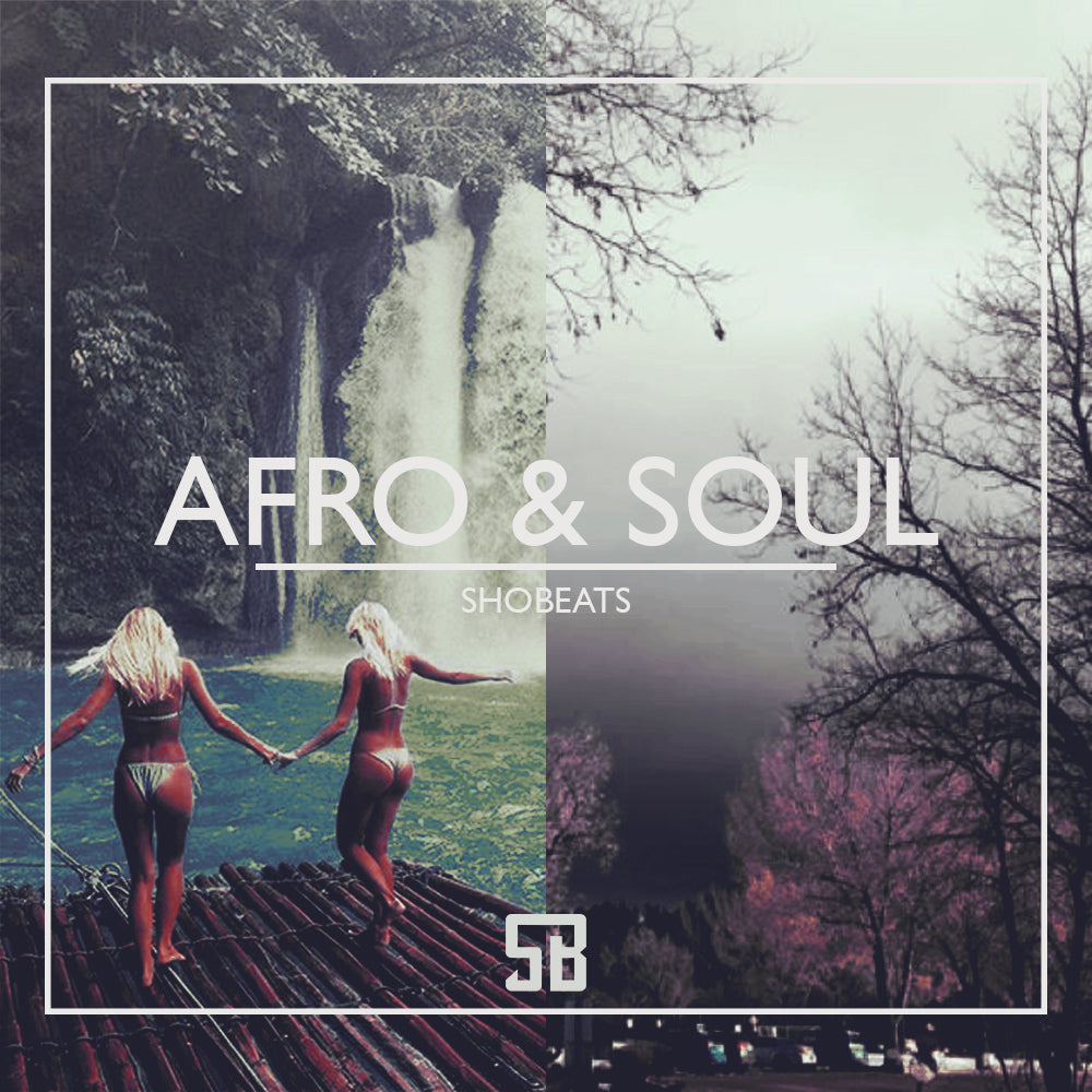 AFRO & SOUL - Sonic Sound Supply - drum kits, construction kits, vst, loops and samples, free producer kits, producer sounds, make beats