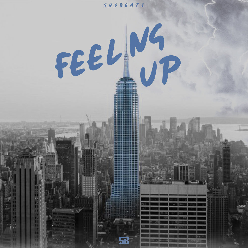 FEELING UP - Sonic Sound Supply - drum kits, construction kits, vst, loops and samples, free producer kits, producer sounds, make beats