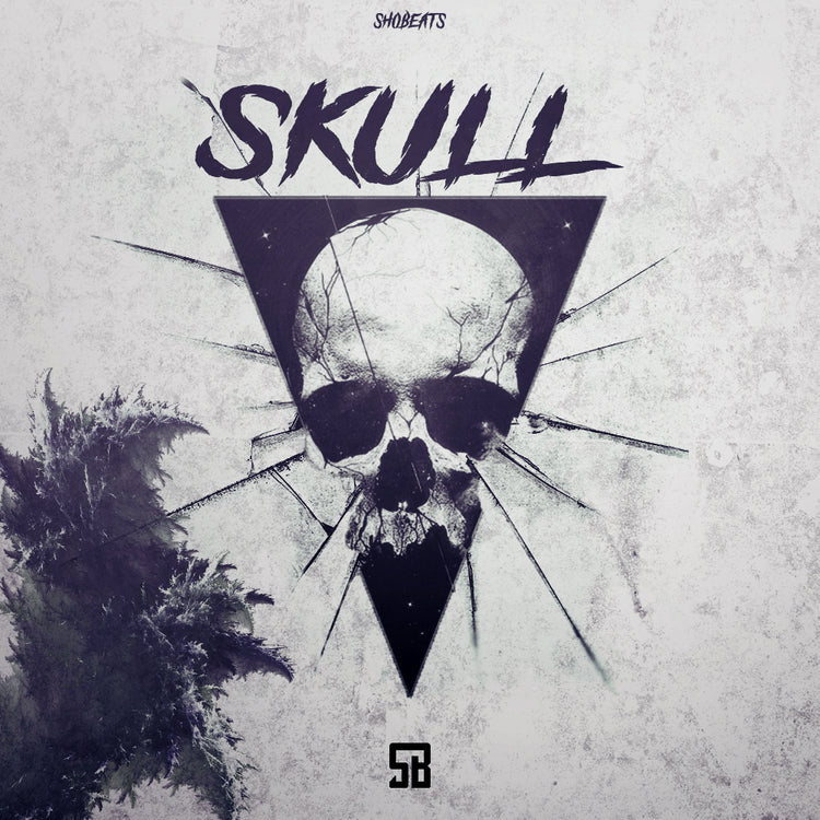 SKULL - Sonic Sound Supply - drum kits, construction kits, vst, loops and samples, free producer kits, producer sounds, make beats