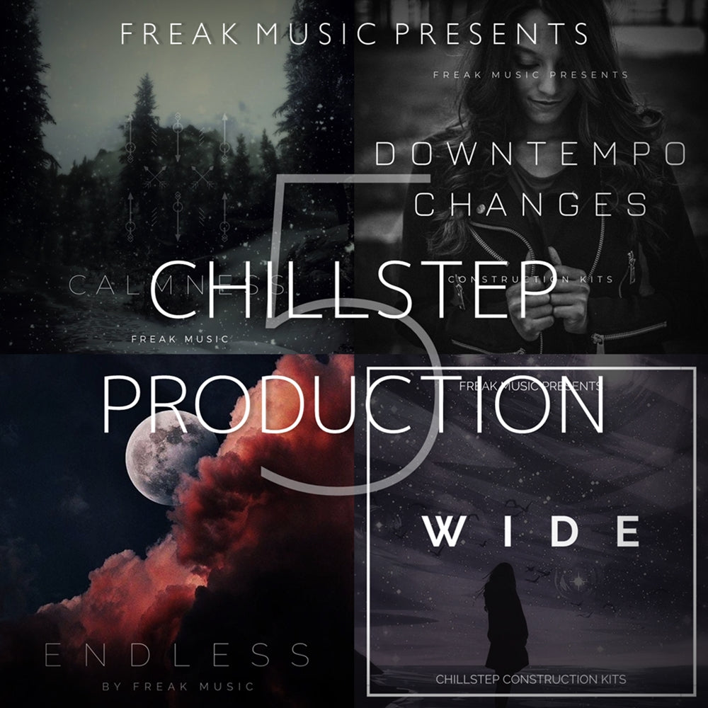 Chillstep Production 5