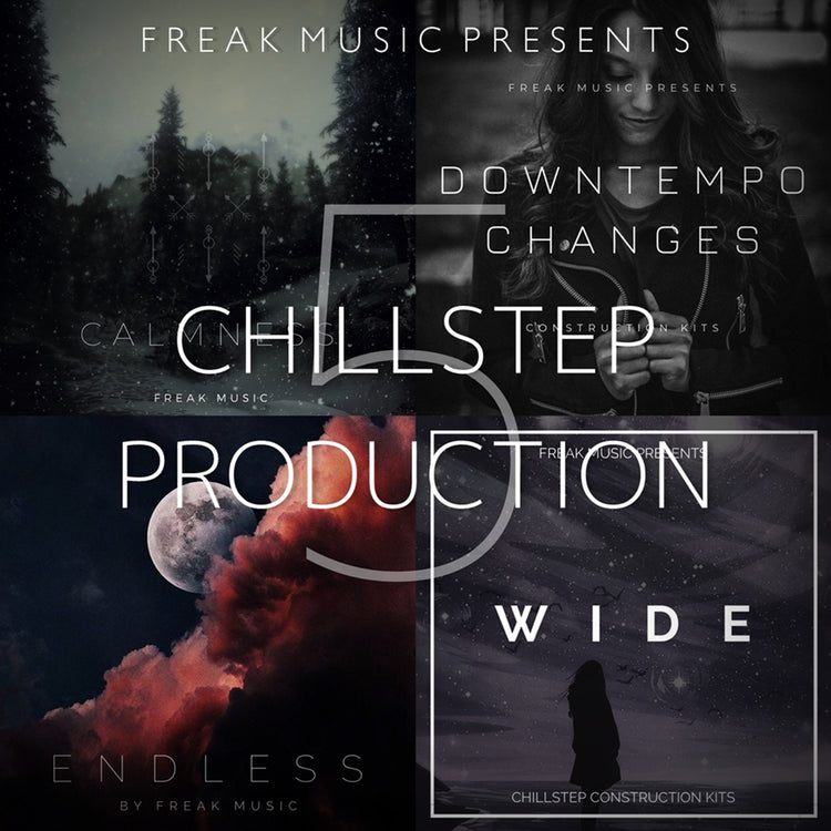 Chillstep Production 5