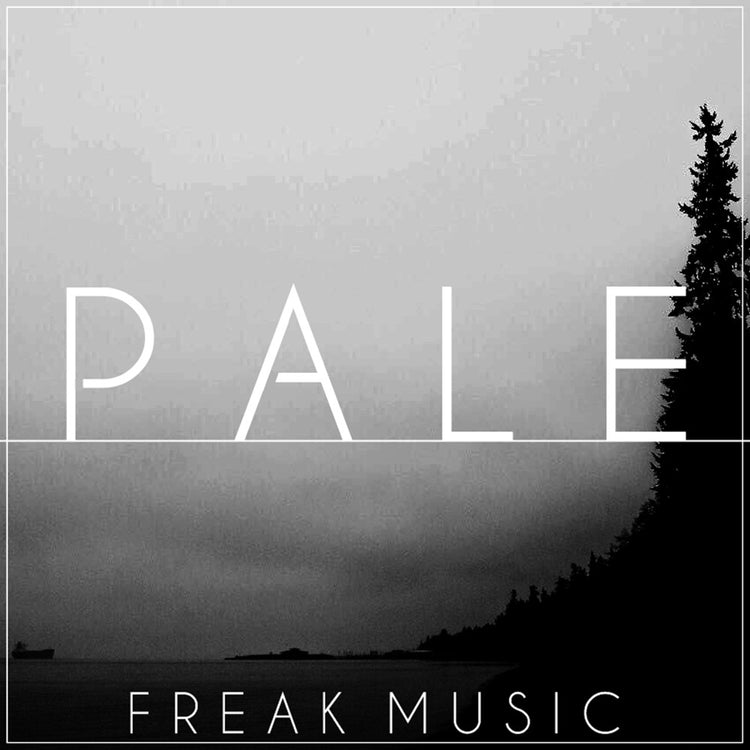 PALE - Sonic Sound Supply - drum kits, construction kits, vst, loops and samples, free producer kits, producer sounds, make beats
