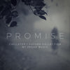 Promise - Sonic Sound Supply - drum kits, construction kits, vst, loops and samples, free producer kits, producer sounds, make beats